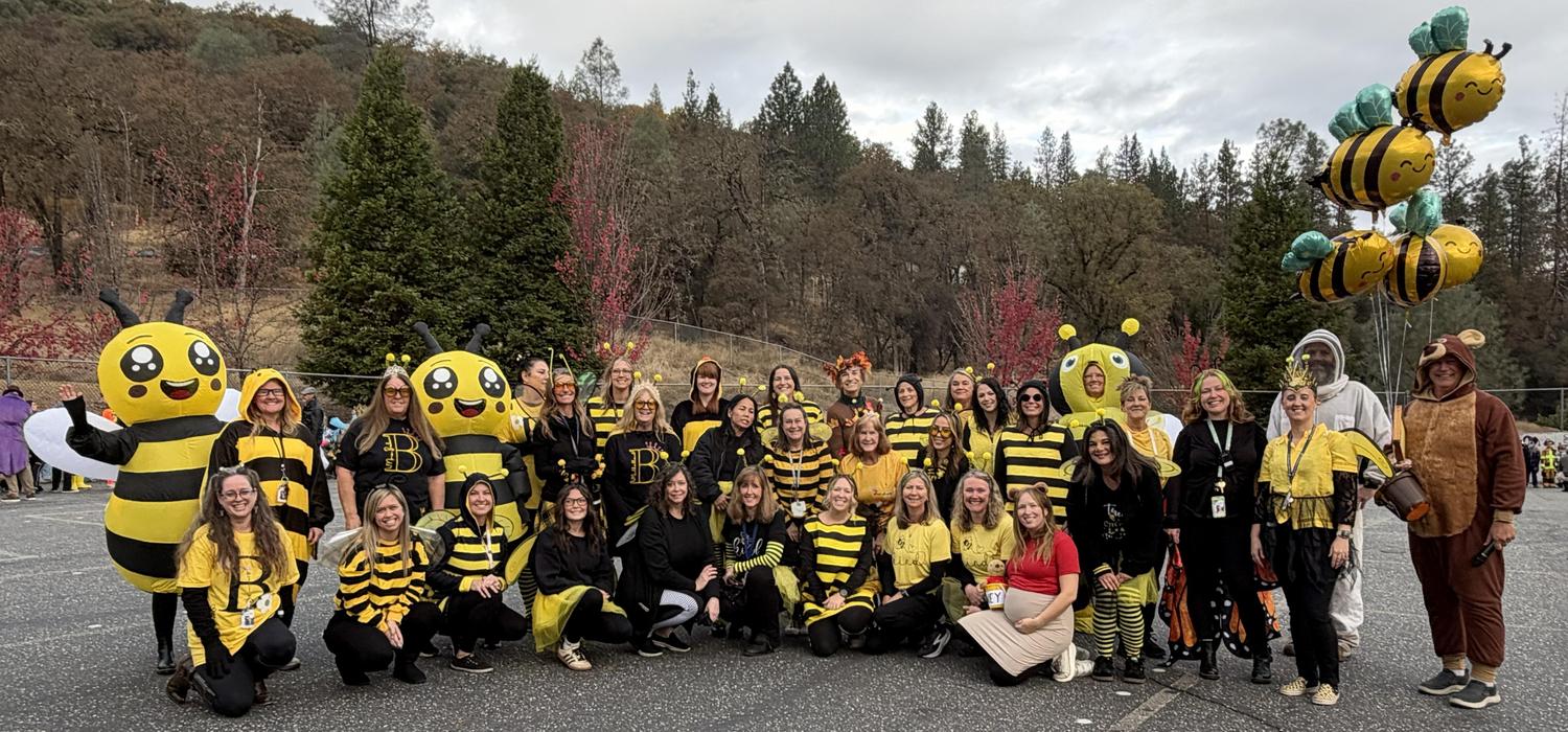 Staff poses in bee costumes on the blacktop