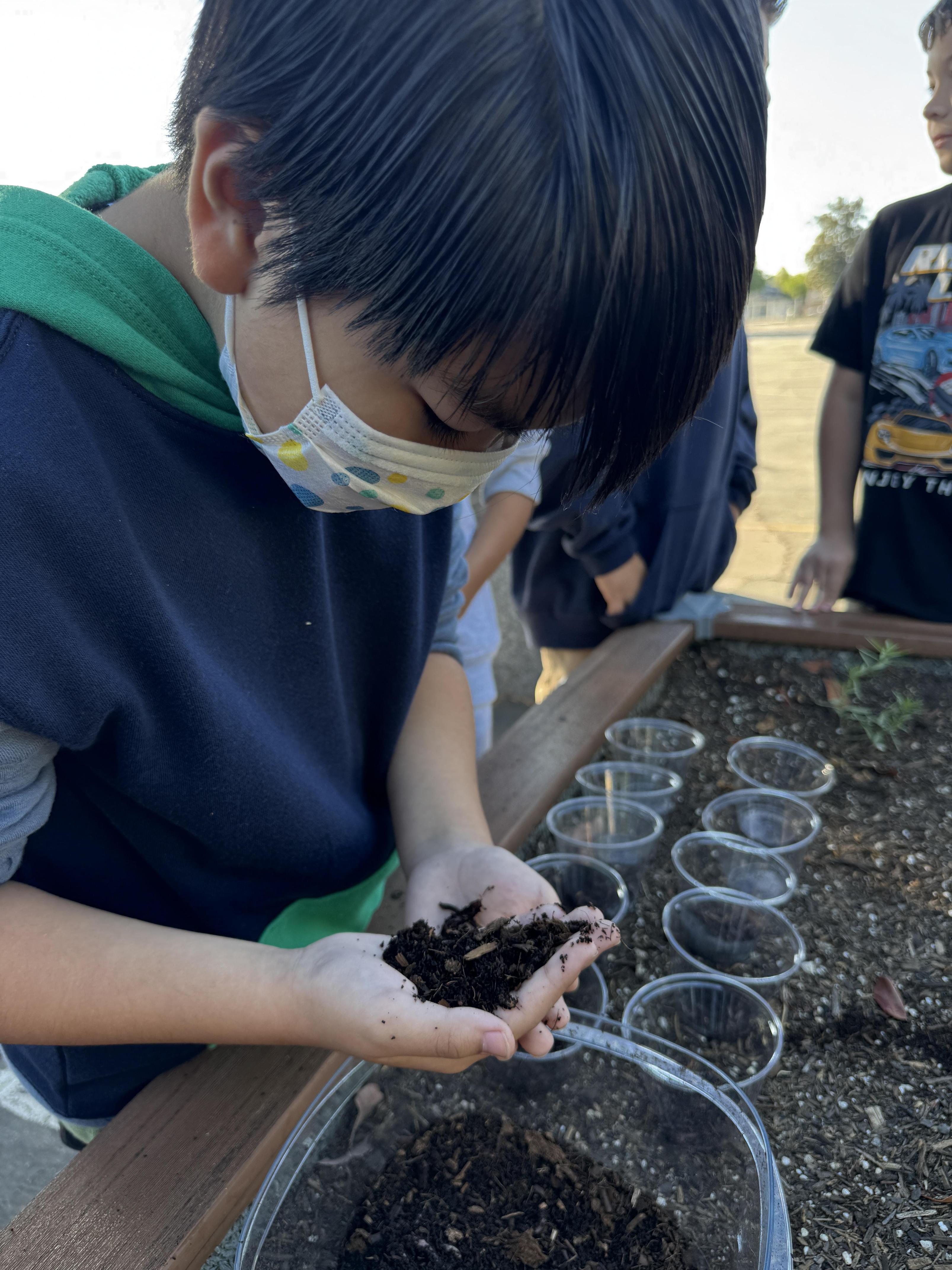 Students working on stewardship project