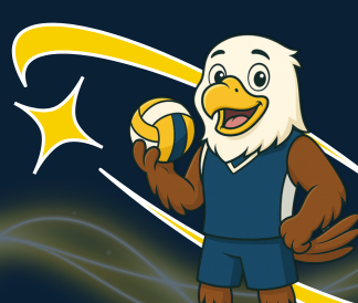Illustration of eagle holding a volleyball with a yellow star swoosh around him