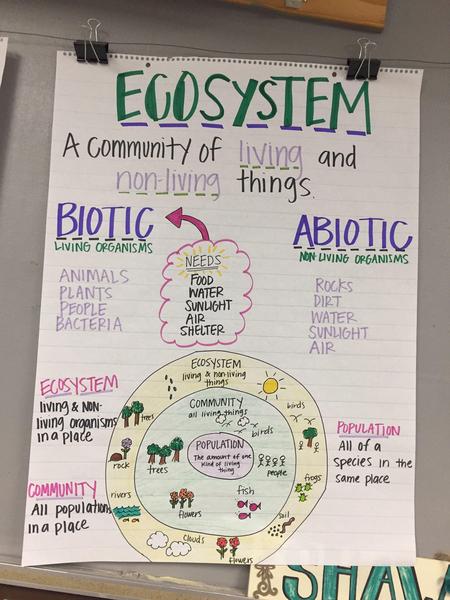 Ecosystem Anchor Chart.jpg