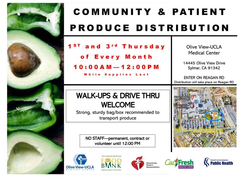 Community Produce Distribution in Sylmar Featured Photo