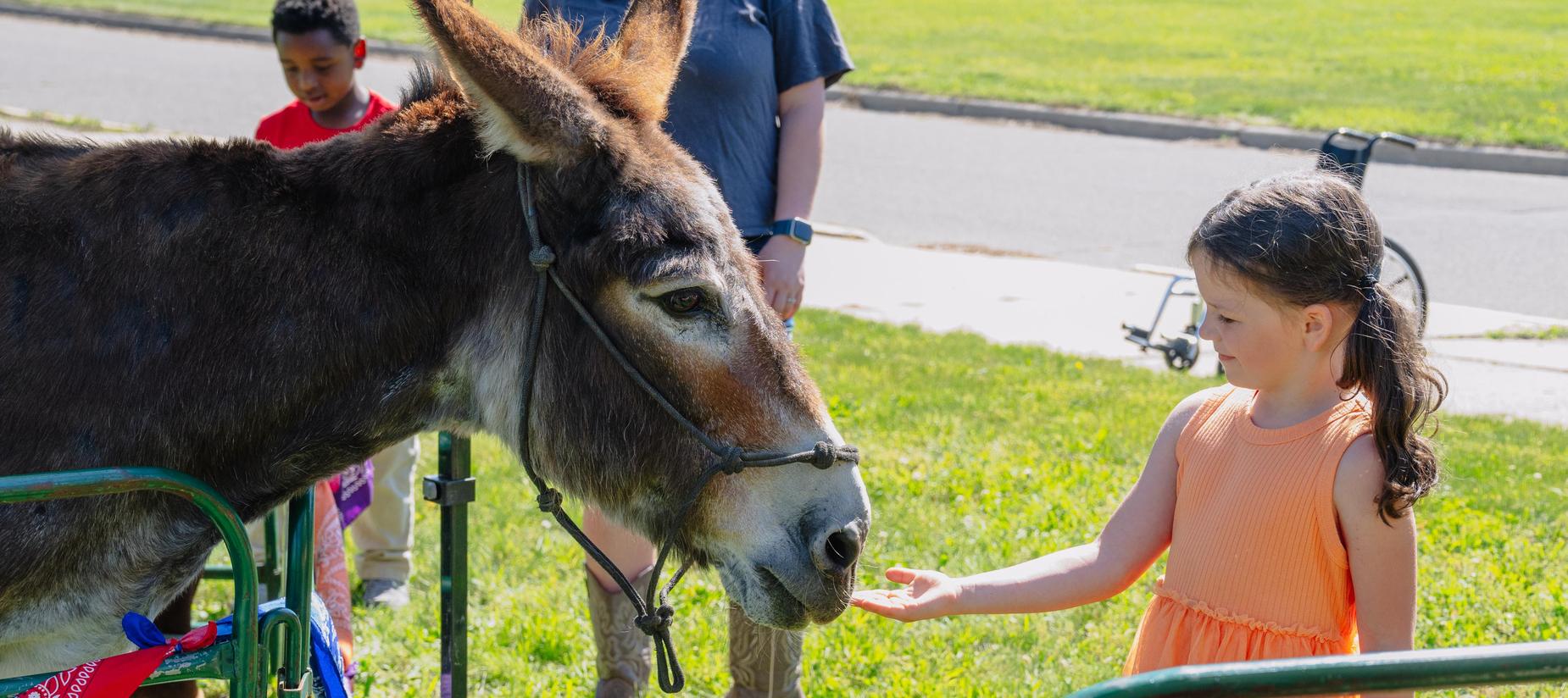 Student at petting farm
