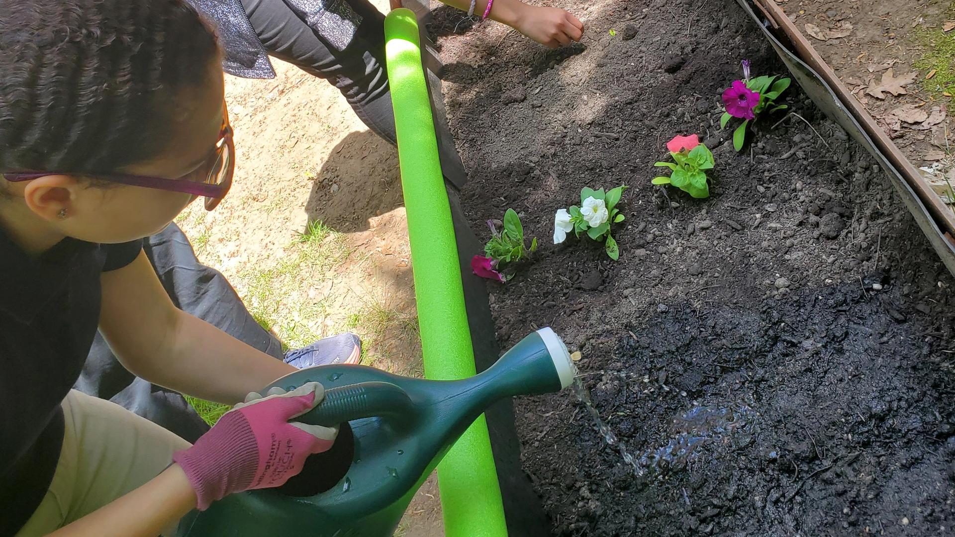 kids watering plants
