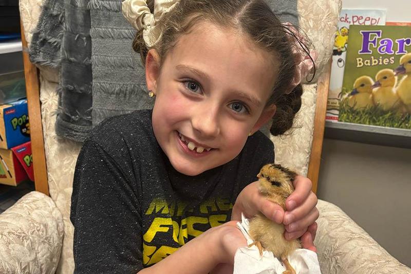 A Level Green 1st grader holds one of Miss Hlavsa’s classroom chicks