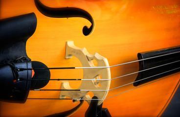 Band and Strings Concert AT QUIDNESSETT ELEMENTARY SCHOOL Featured Photo