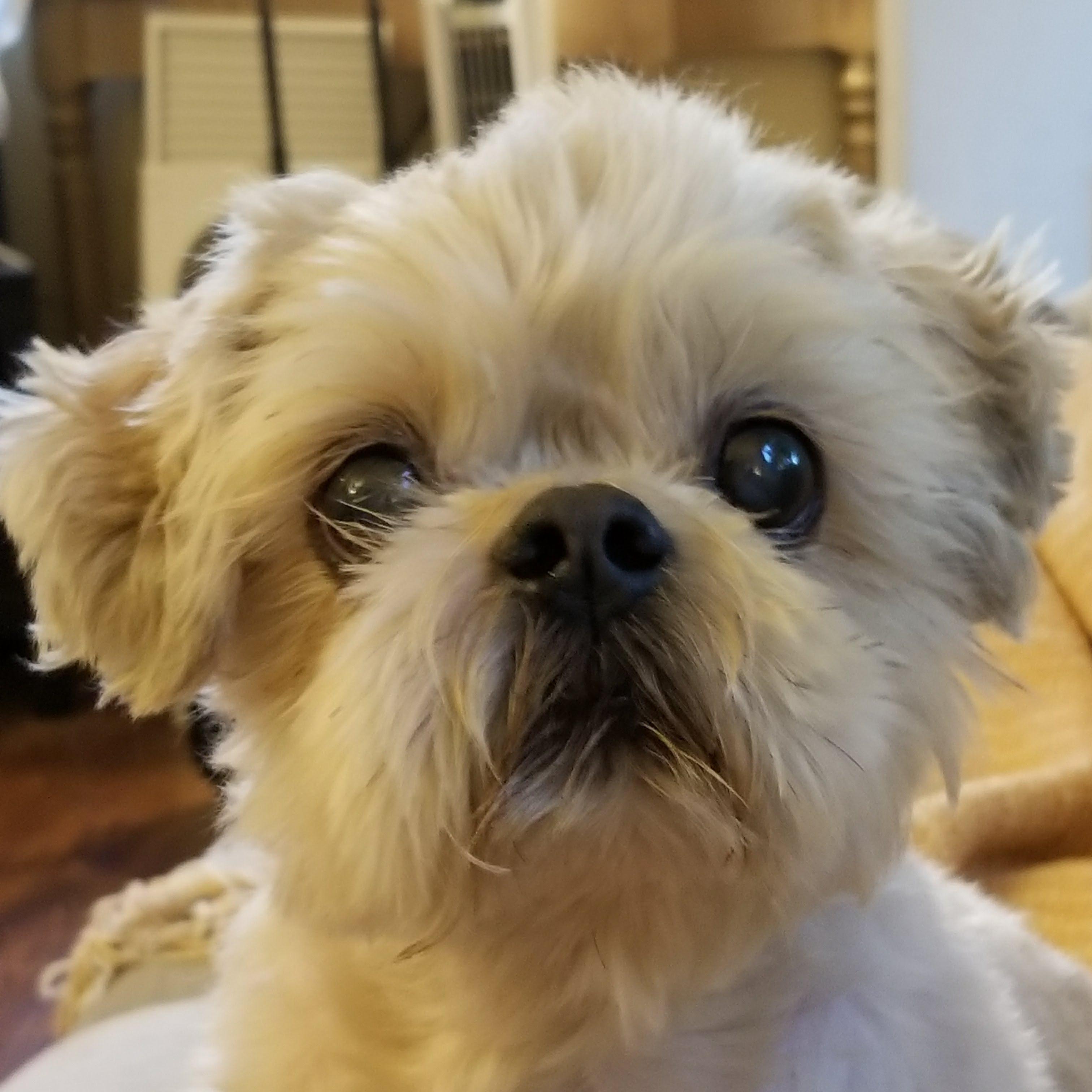 PaigeLahaise's Profile Photo