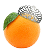 an orange