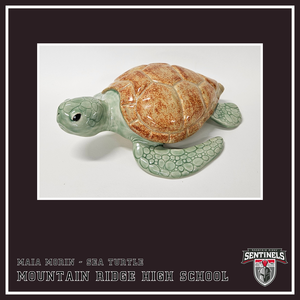 Maia Morin - Sea Turtle