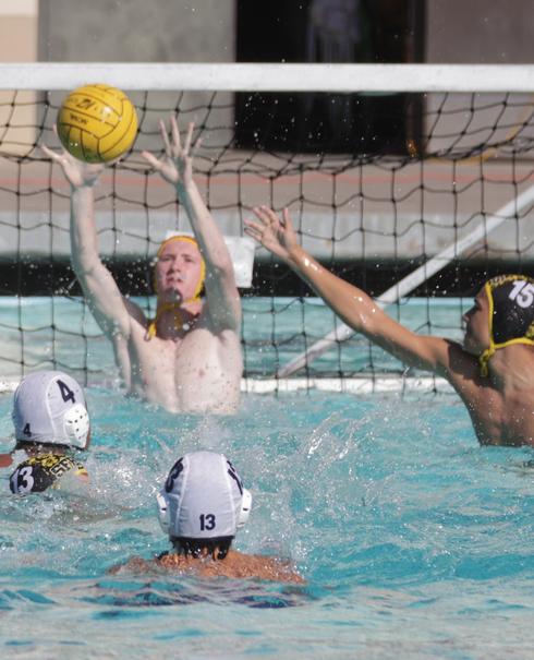 Waterpolo 2026