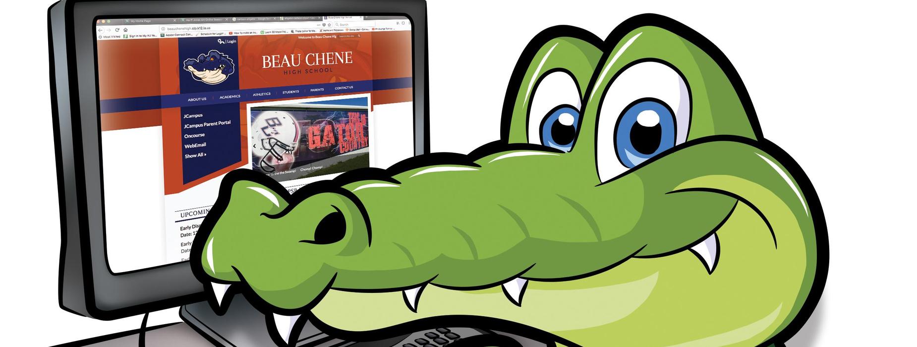 Gator at the computer looking at the website