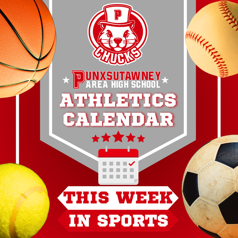 Red background with basketball, tennis ball, soccer ball, and baseball with text that says 