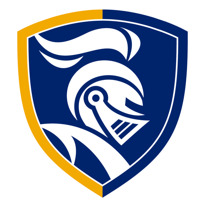 Blue & Gold Knight Shield