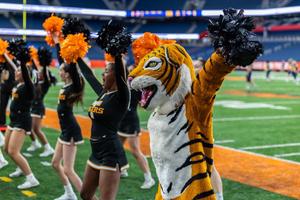 tiger