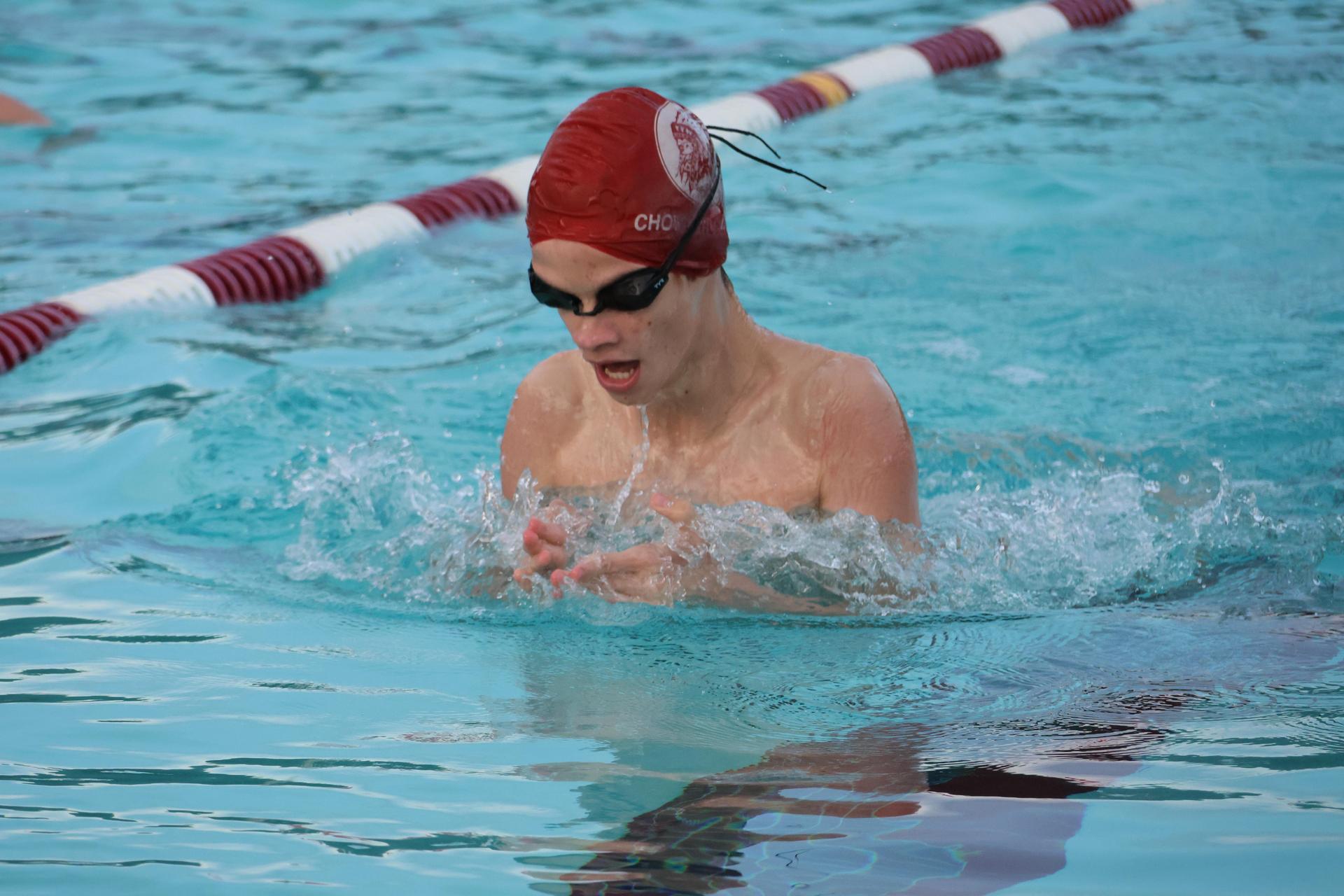 darren trapanese swimming