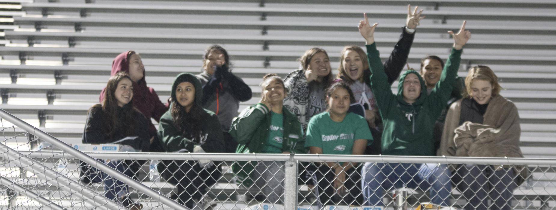 soccer crowd 2018