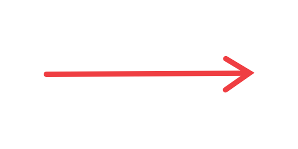 Arrow pointing from 1996 to Seeds of Health Elementary