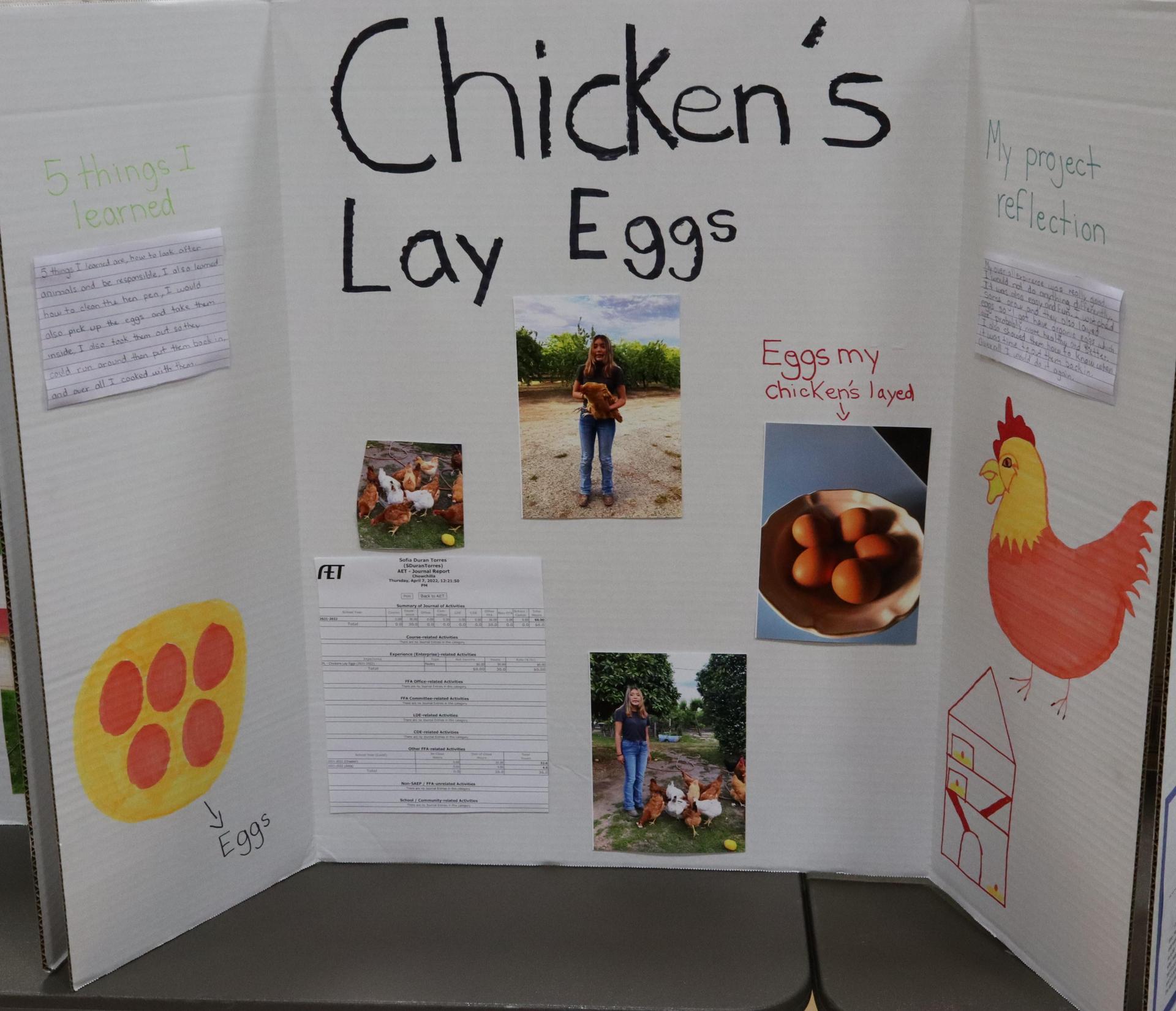 A Supervised Agricultural Experience trifold display