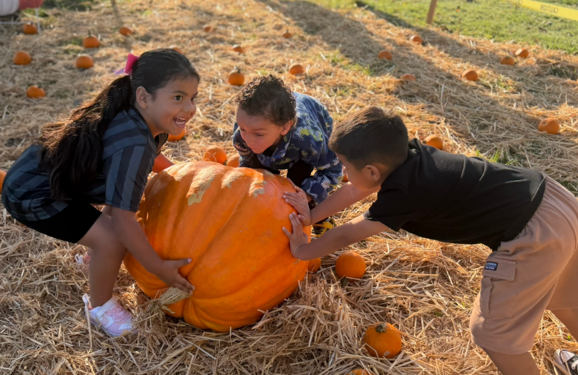 PUSD&rsquo;s Pumpkin Patch: Growing Minds, One Pumpkin at a Time! Shuffle banner for homepage. Pictures were taken at Alcott Elementary