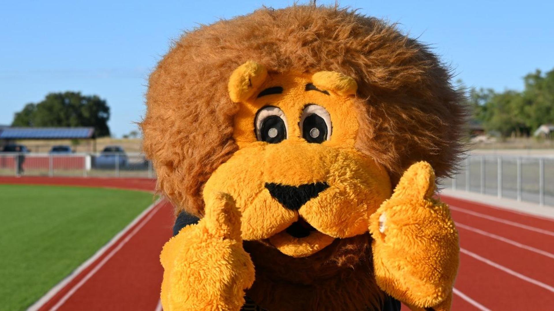 A cheerful lion mascot posing with thumbs up.