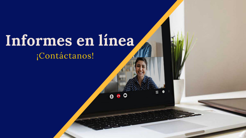 Informes en línea Featured Photo