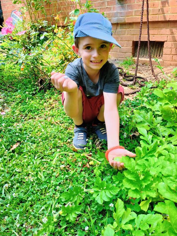 A TDSA student exploring a garden on summer break.