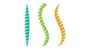 Scoliosis Screening Logo