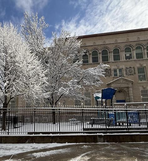 Snow-covered trees beside a building under a cloudy sky.