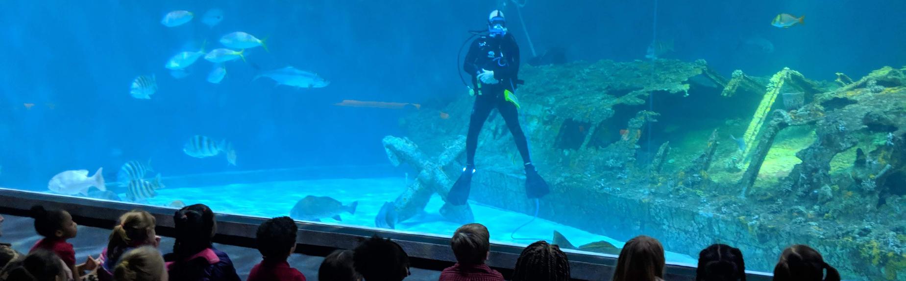 students sitting on floor in aquarium watching a diver in a tank