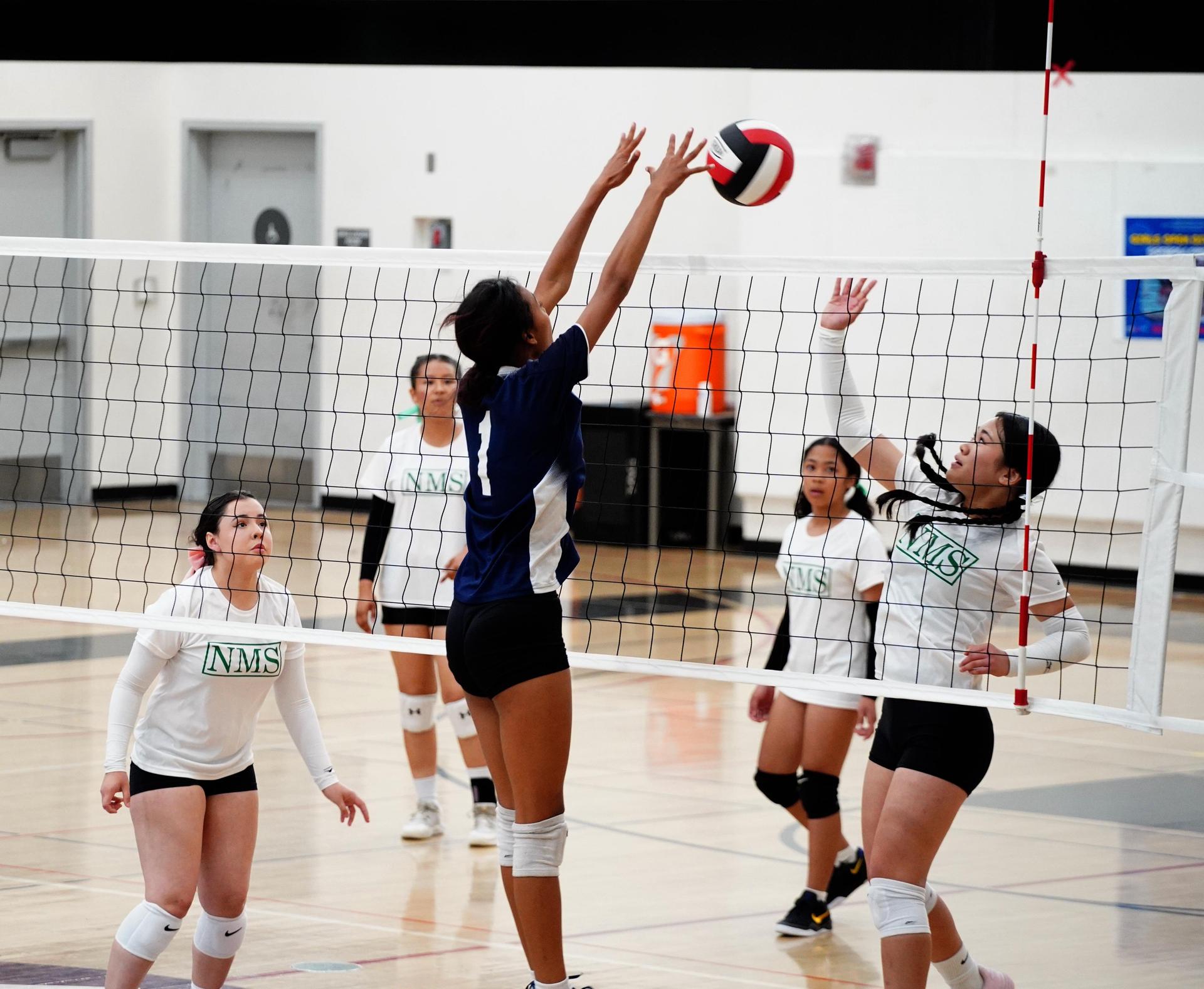 girls playing volleyball