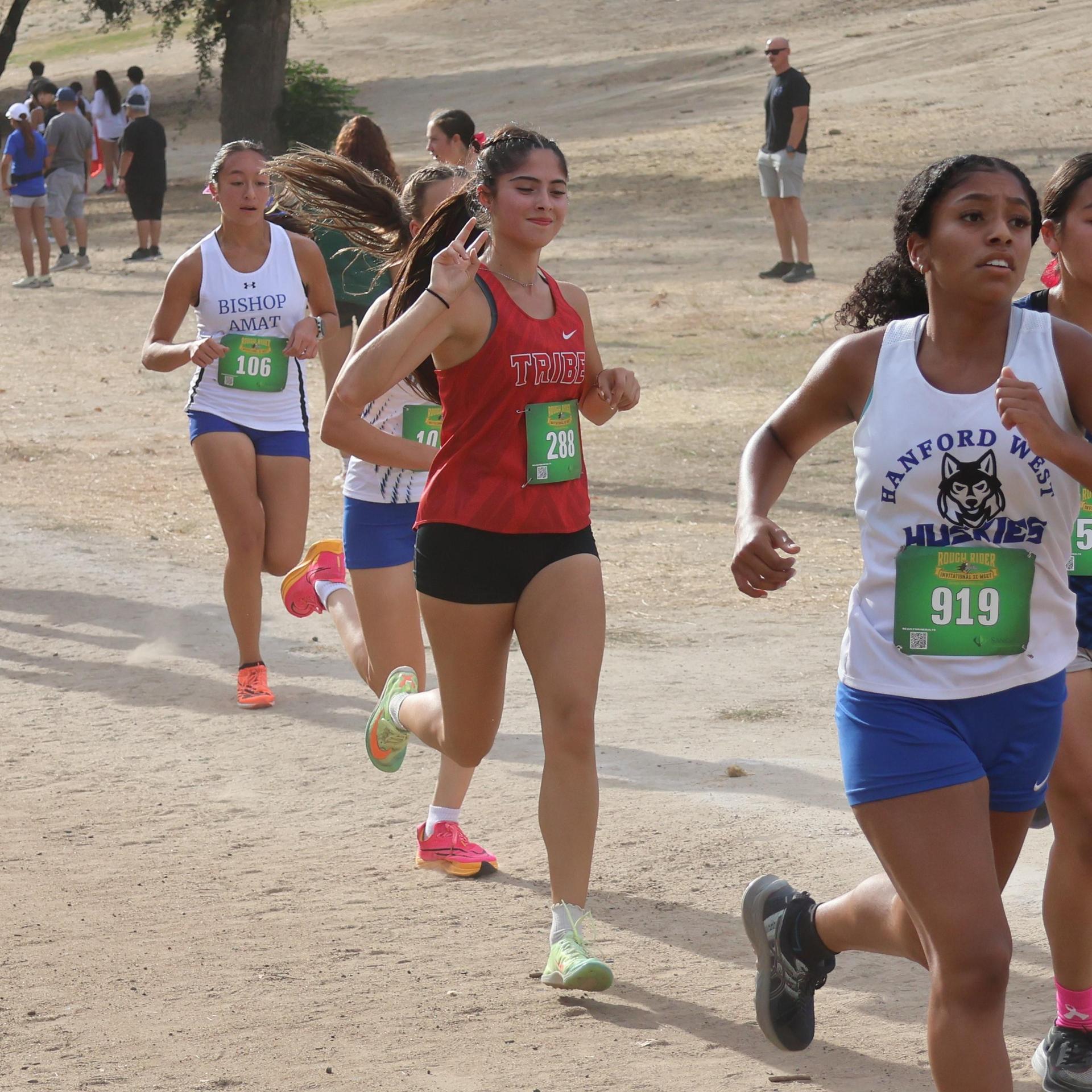 cross country runners in action
