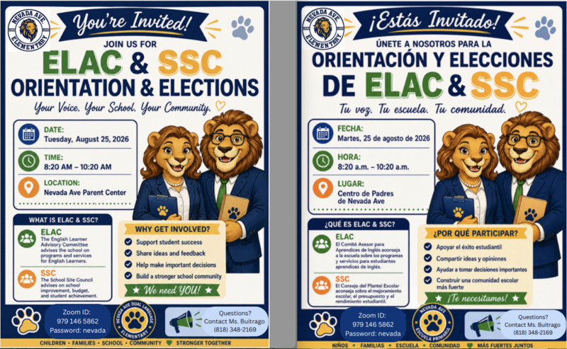 Elac and SSC orientation and elecitons