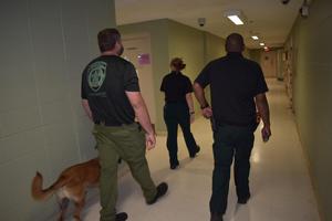 K-9 Sasha searches Detention Center.