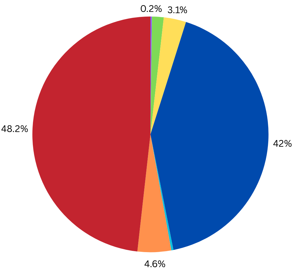 demographic pie chart