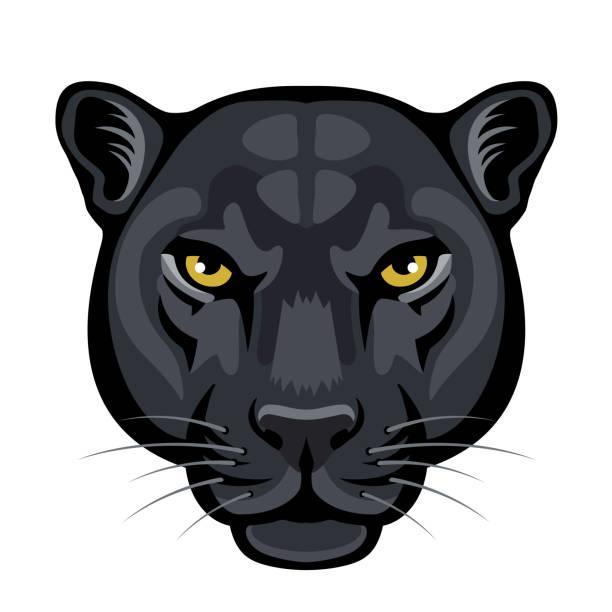 AngelaTseng's Profile Photo