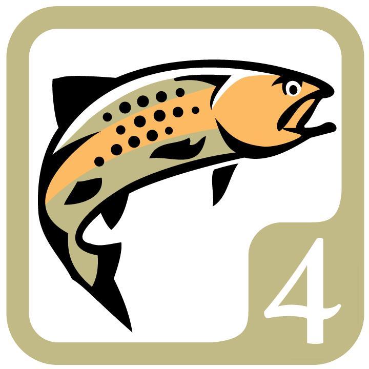 4 Trout Icon