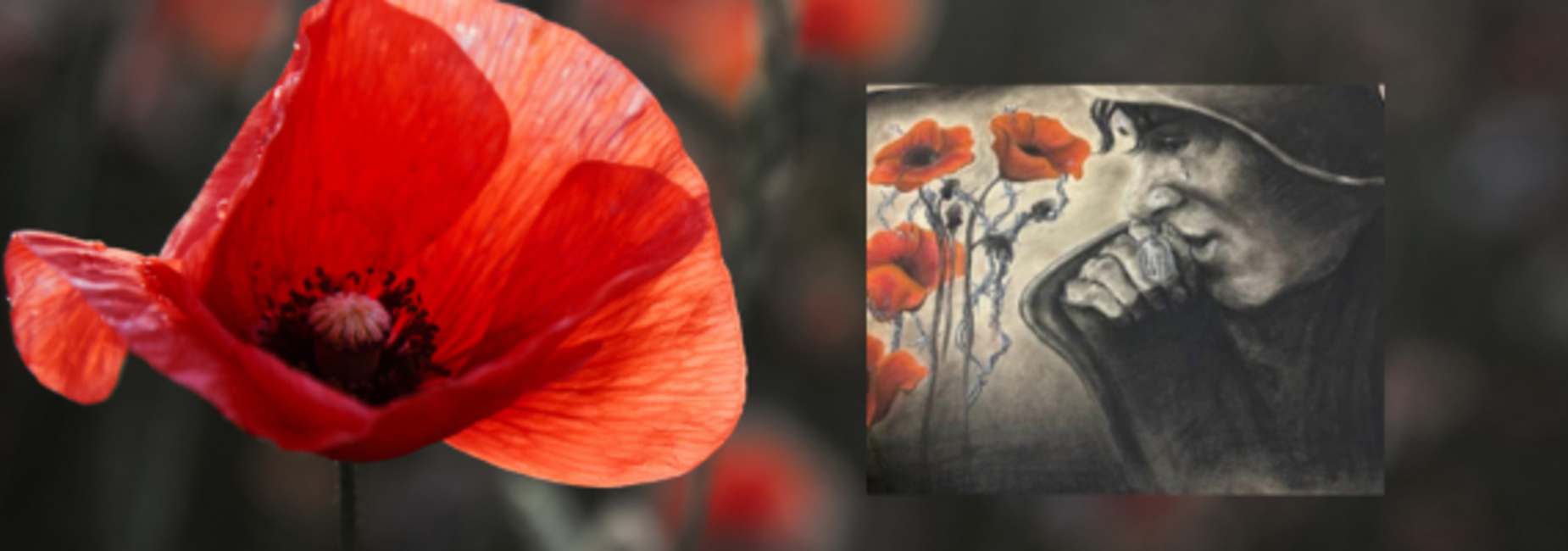 Art contest Winner with poppy flower and soldier crying with dog tags in his hand