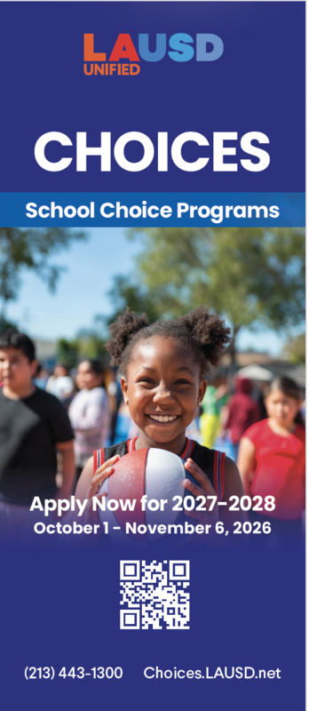 Image of CHOICES brochure