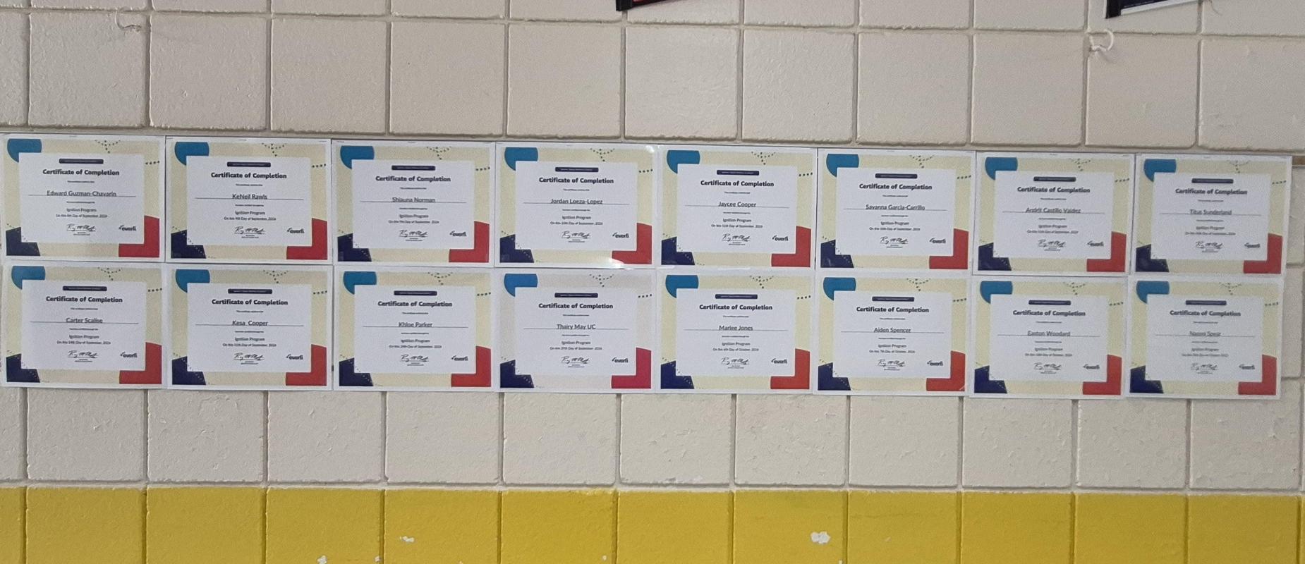 Wall display of multiple framed certificates of completion.