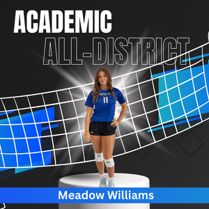 Academic - Meadow.png