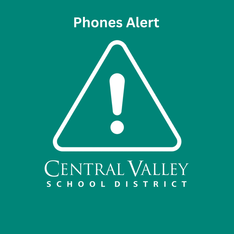 Phone Alert Logo