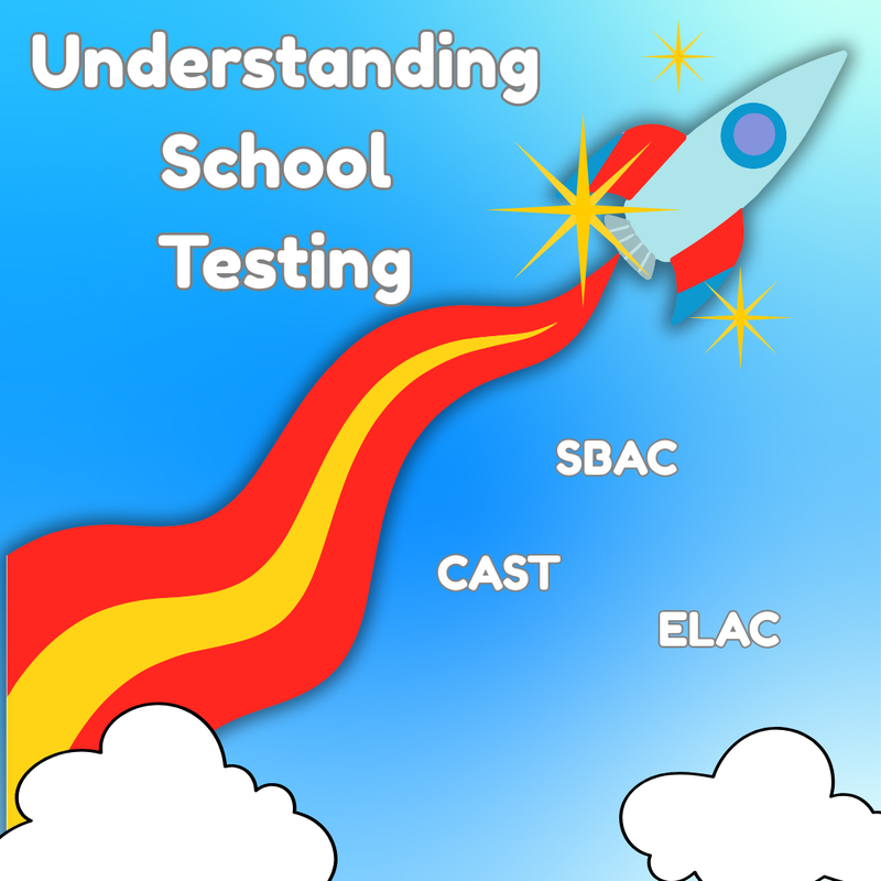 Understanding State Testing