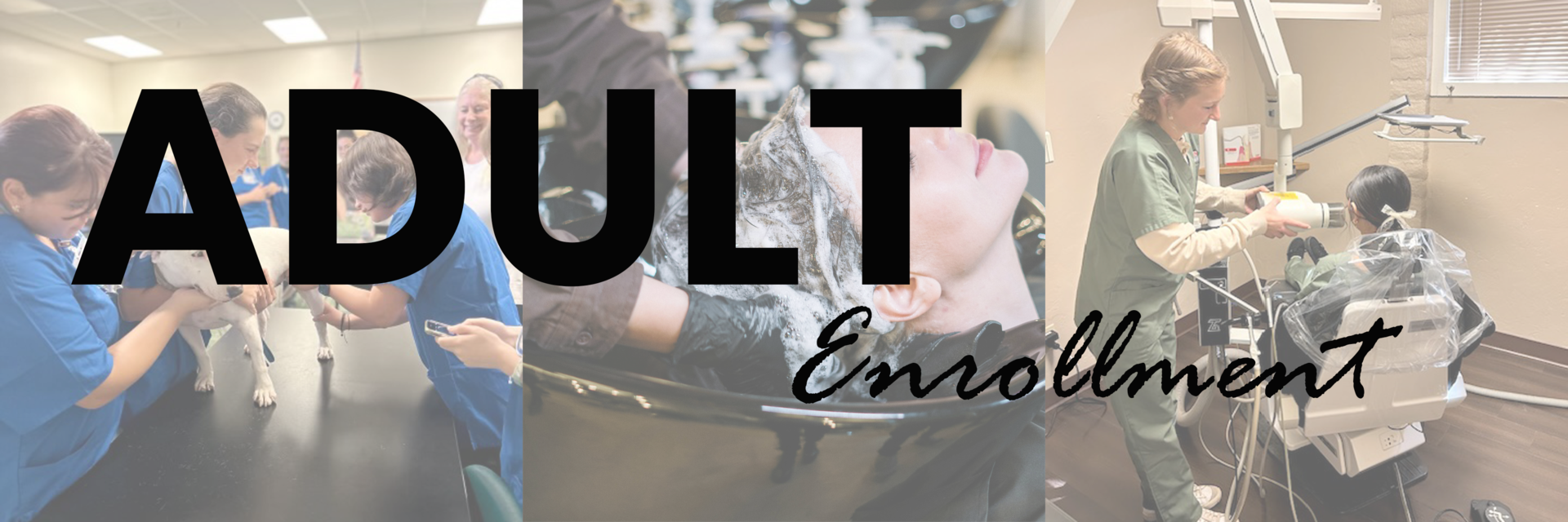 photos showing dental assisting, cosmetology and vet assisting students with the text "adult enrollment" overlaid