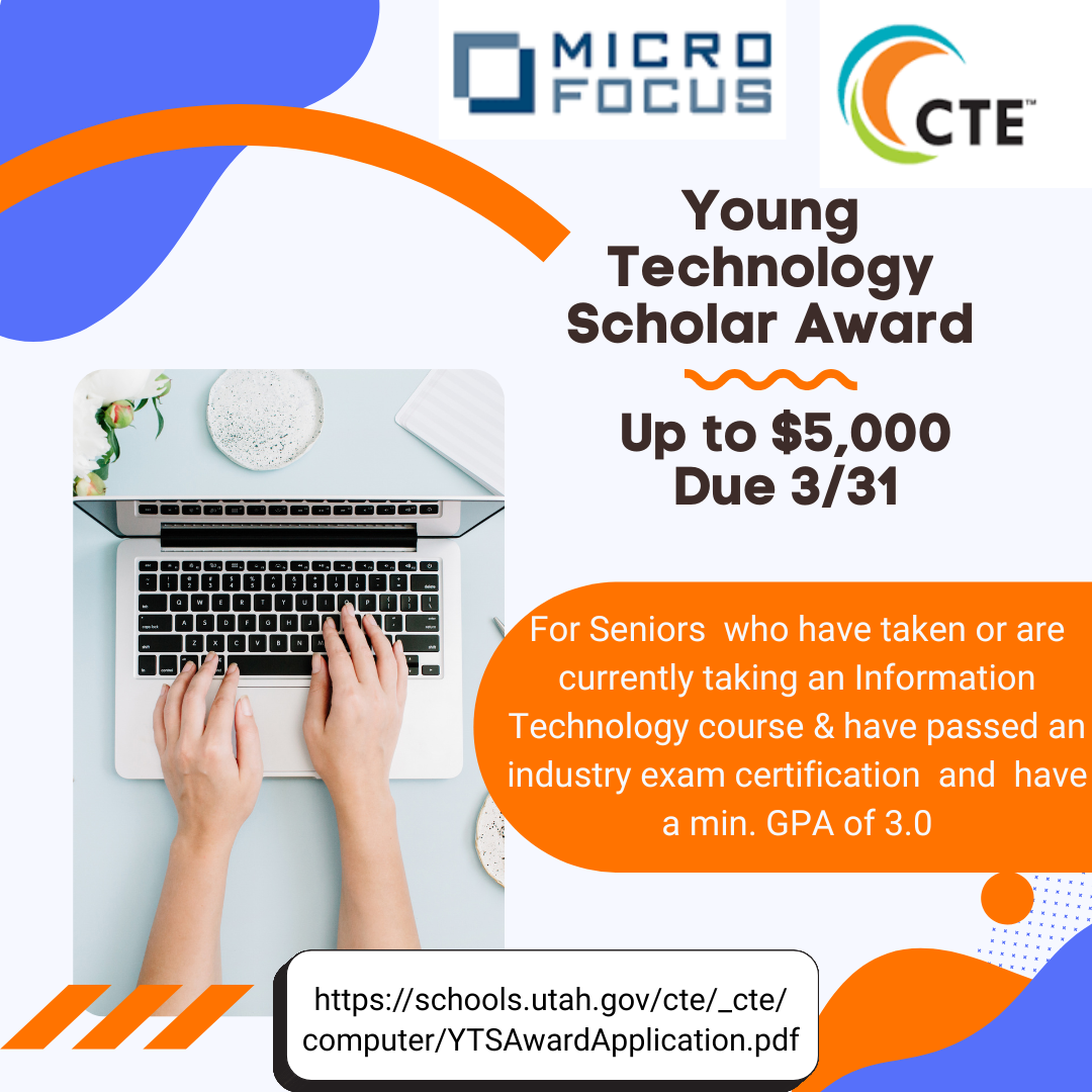 Young Technology Scholar