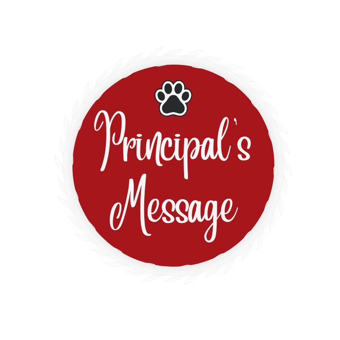 Spotlight Message Image