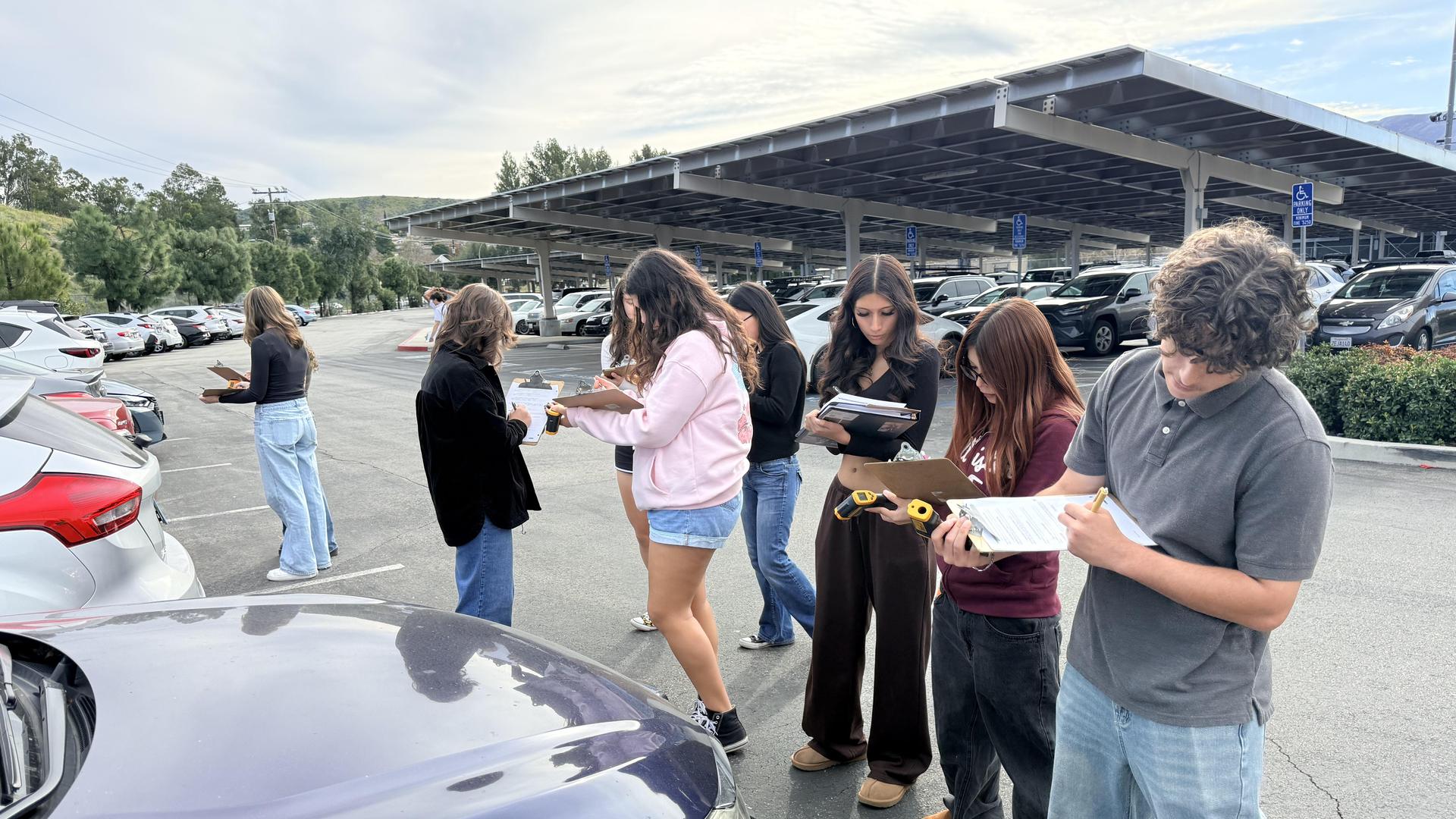 students doing field work