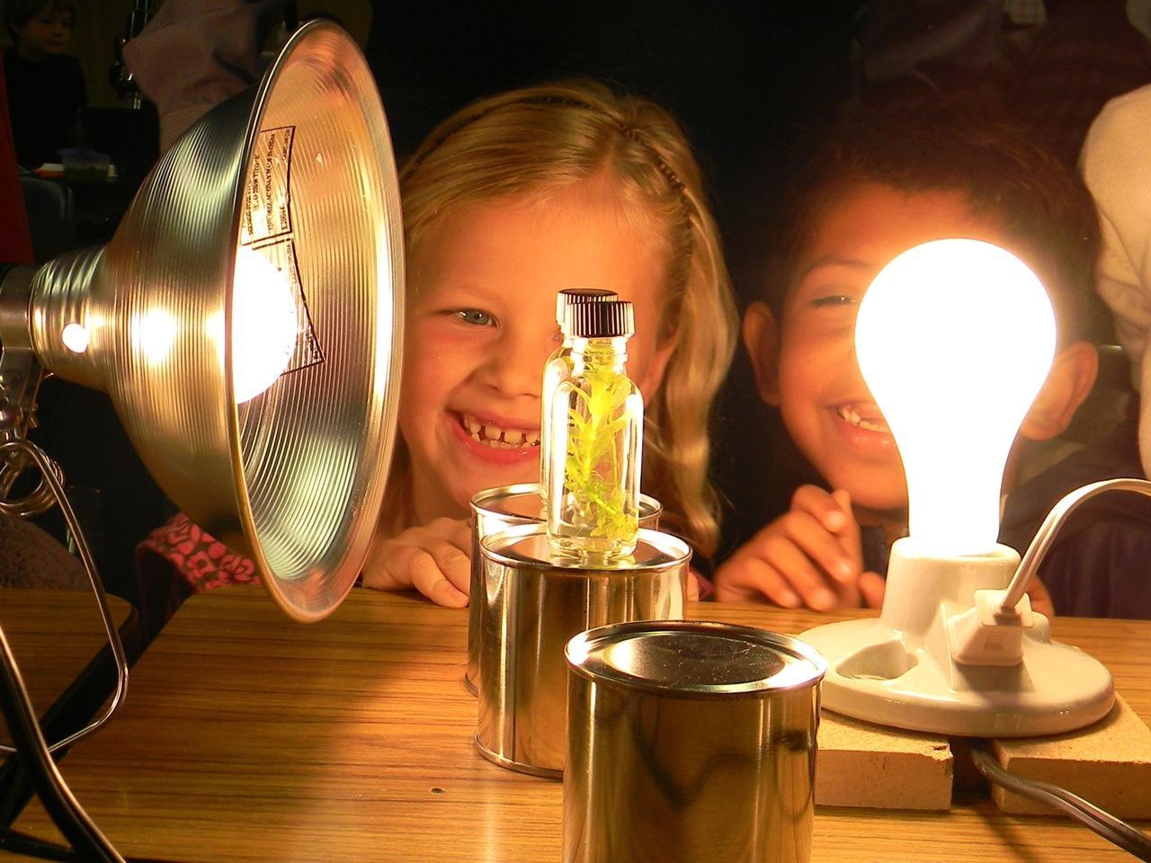 Two young students looking at various light bulbs