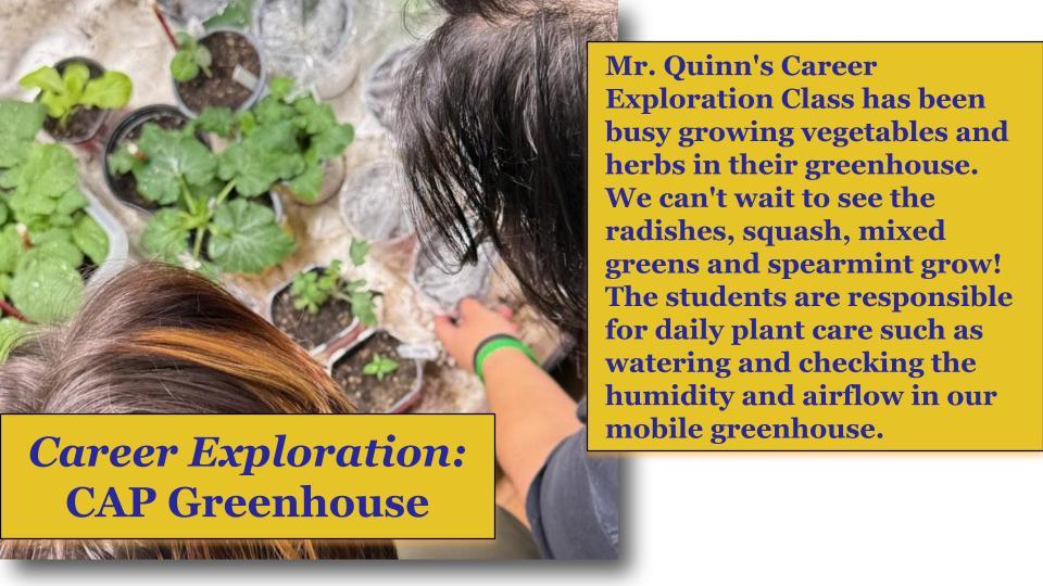 collage of CAP students working in their greenhouse as part of Mr. Quinn's Career Exploration Class