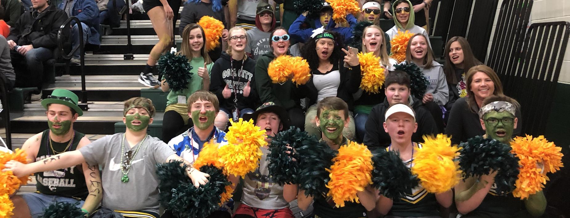 crowd cheering at the volleyball game