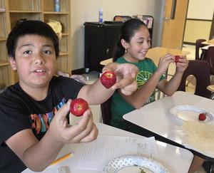 Strawberry Extraction Lab @ Camp Innovate