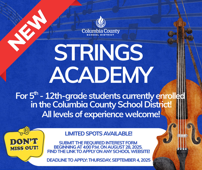 strings academy graphics